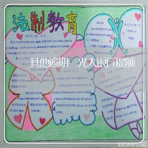 其他逾期 光大银行提额 其他逾期 光大银行提额